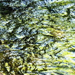 Reflections of green leaves on a fast flowing river
