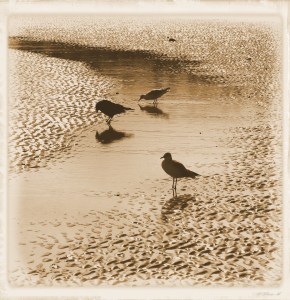 An old fashioned day out at the seaside