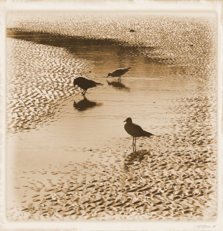 An old fashioned day out at the seaside