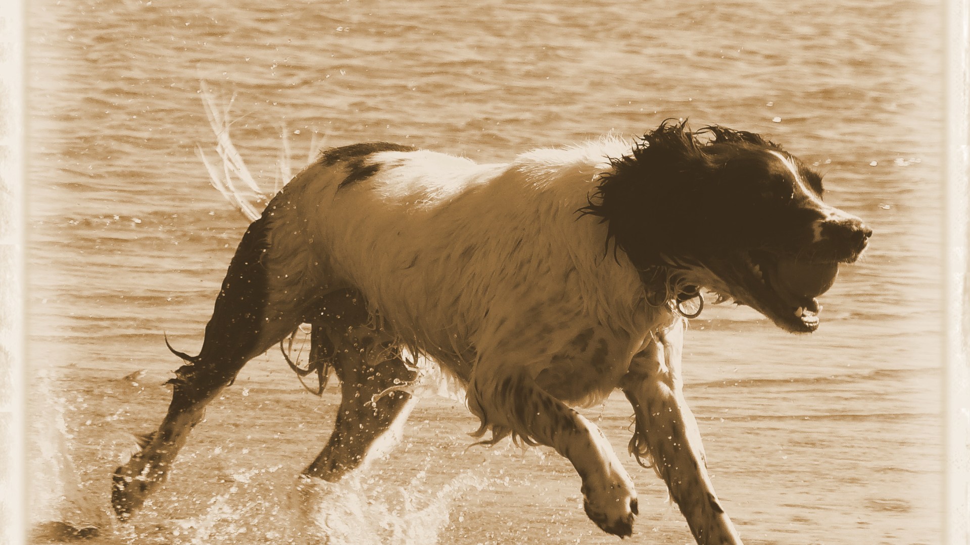 An old fashioned day out at the seaside