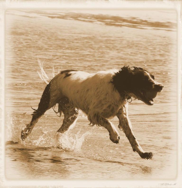 An old fashioned day out at the seaside