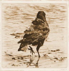 An old fashioned day out at the seaside