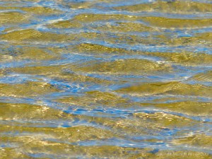 Natural pattern and texture of water in small waves