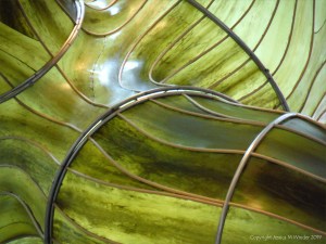 Detail of sculpture made of kelp