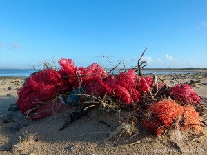 Flotsam on a UK beach