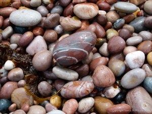 Pebbles