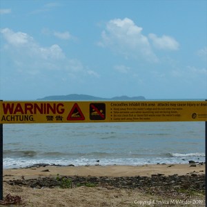 Saltwater crocodile warning sign in Queensland