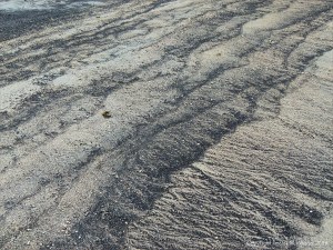 Driftline patterns in Queensland