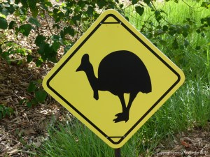 Cassowary warning sign in Queensland