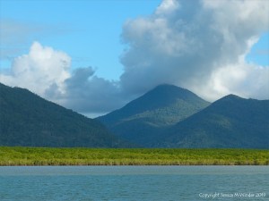 View from Mulgrave River in Queensland