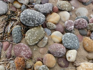 Pebbles