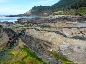 Near-parallel lines of dikes, with dark uniformly-textured basalt, cutting through softer fragmental basalt on the Oregon Coast