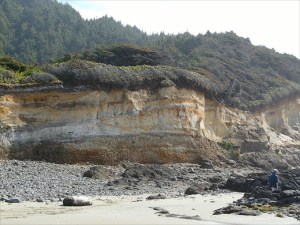 Sea cliff exposing raised beach deposits at Neptune State Park in Oregon, USA
