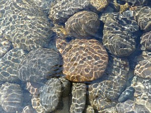 Pebbles