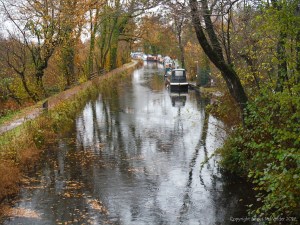 Canal at Goytre Wharf
