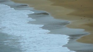 Waves gently breaking on a sandy beach