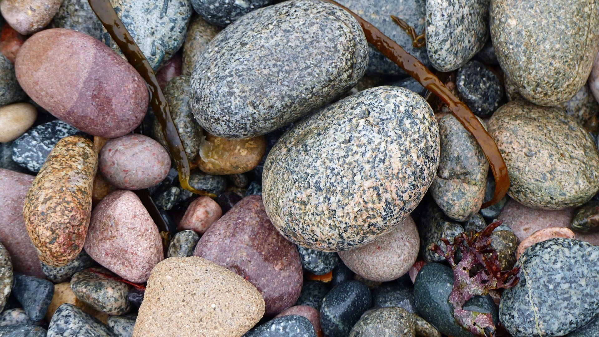 Pebbles on the beach