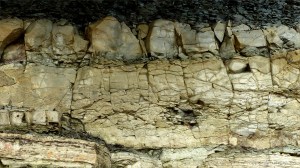 Triassic rock at Barry Island