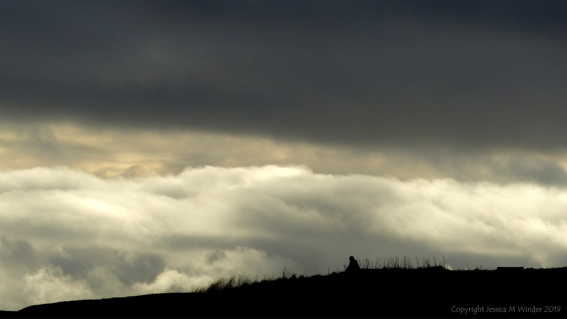 Beachscape with storm clouds on a winter's day