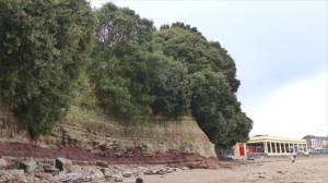 Triassic rock at Whitmore bay on Barry Island