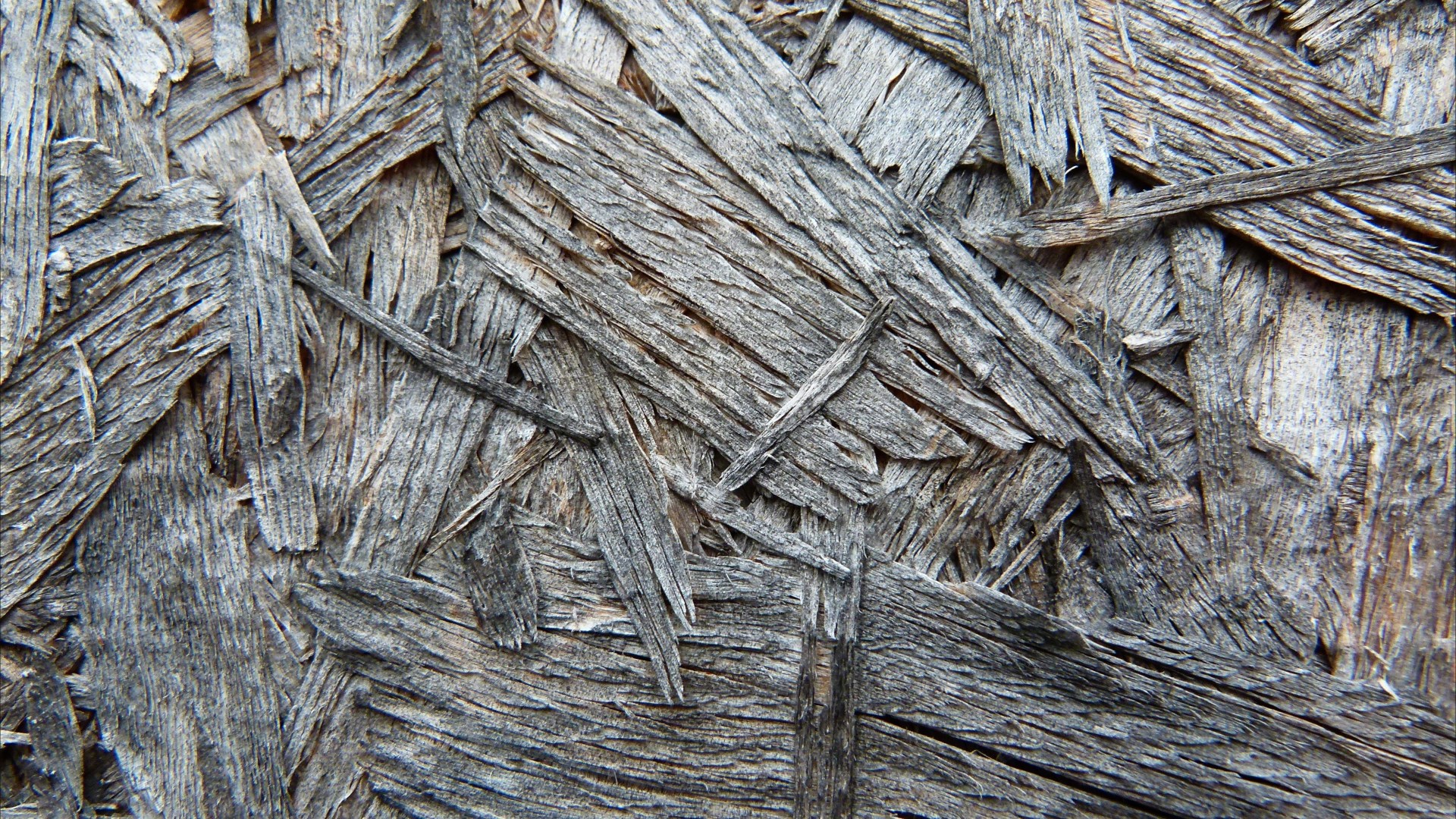 Close-up photograph showing texture in weathered chipboard