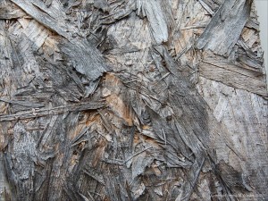 Close-up photograph showing texture in weathered chipboard