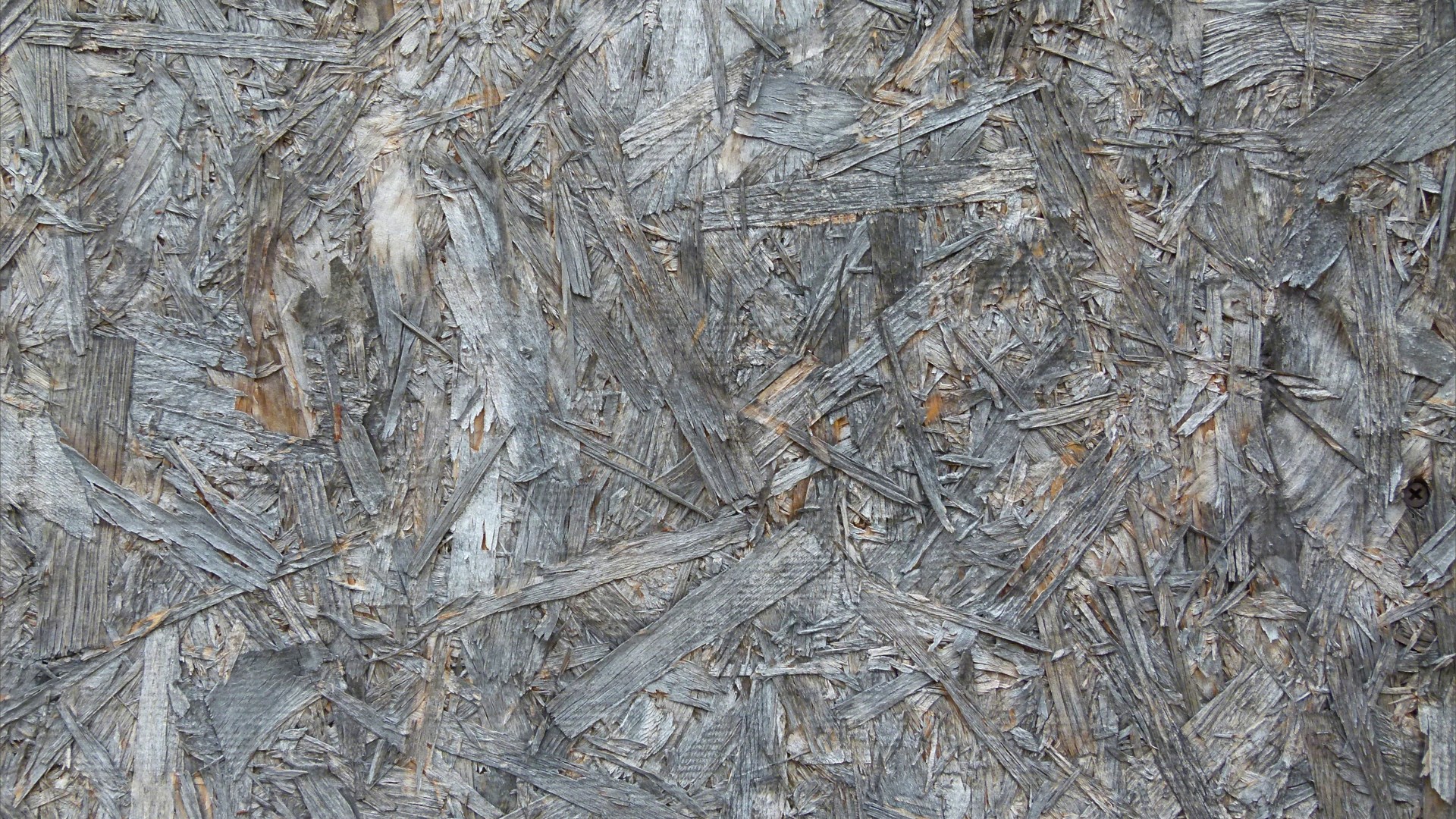 Texture detail in weathered chipboard