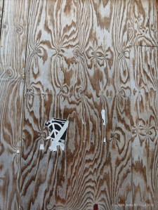 Woodgrain patterns in plywood