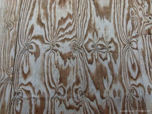 Woodgrain patterns in plywood