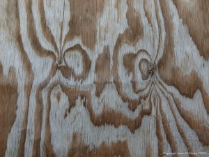 Woodgrain patterns in plywood