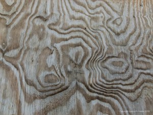 Woodgrain patterns in plywood