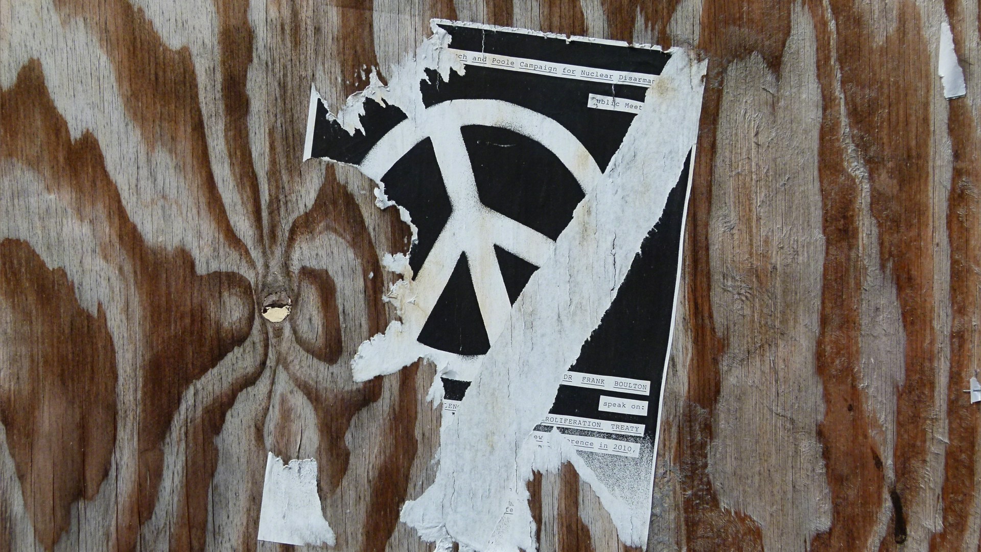 Woodgrain patterns in plywood