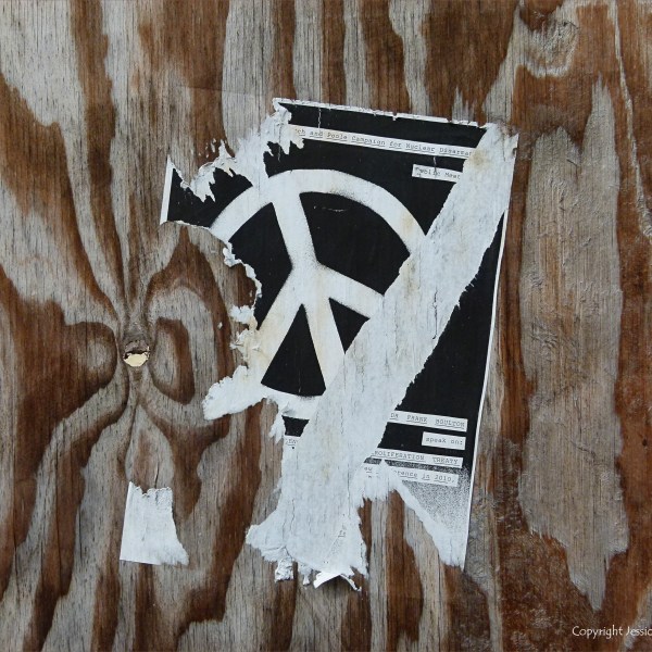 Woodgrain patterns in plywood