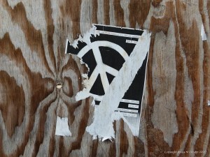 Woodgrain patterns in plywood