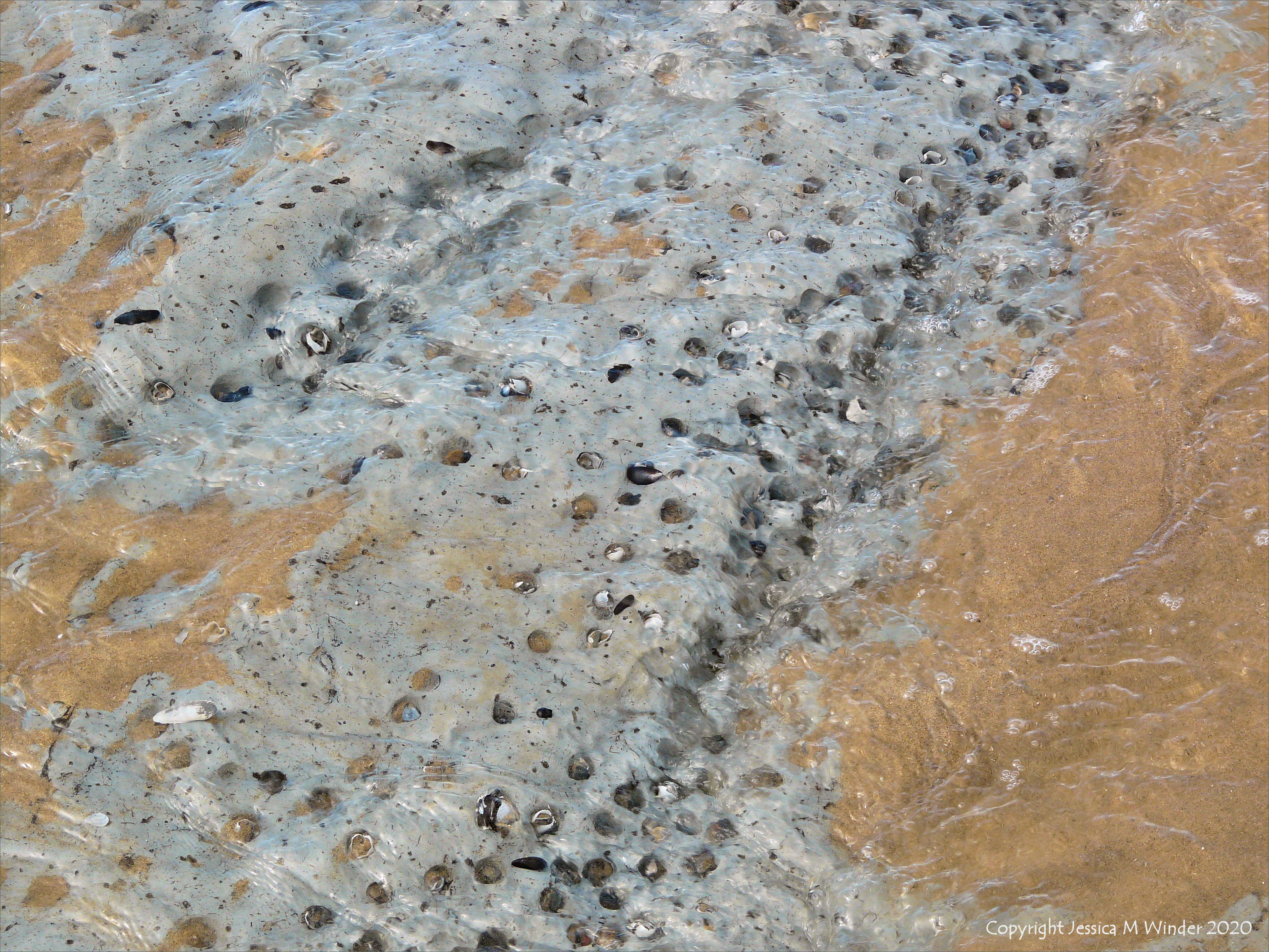 Holes in clay made by seashore creatures