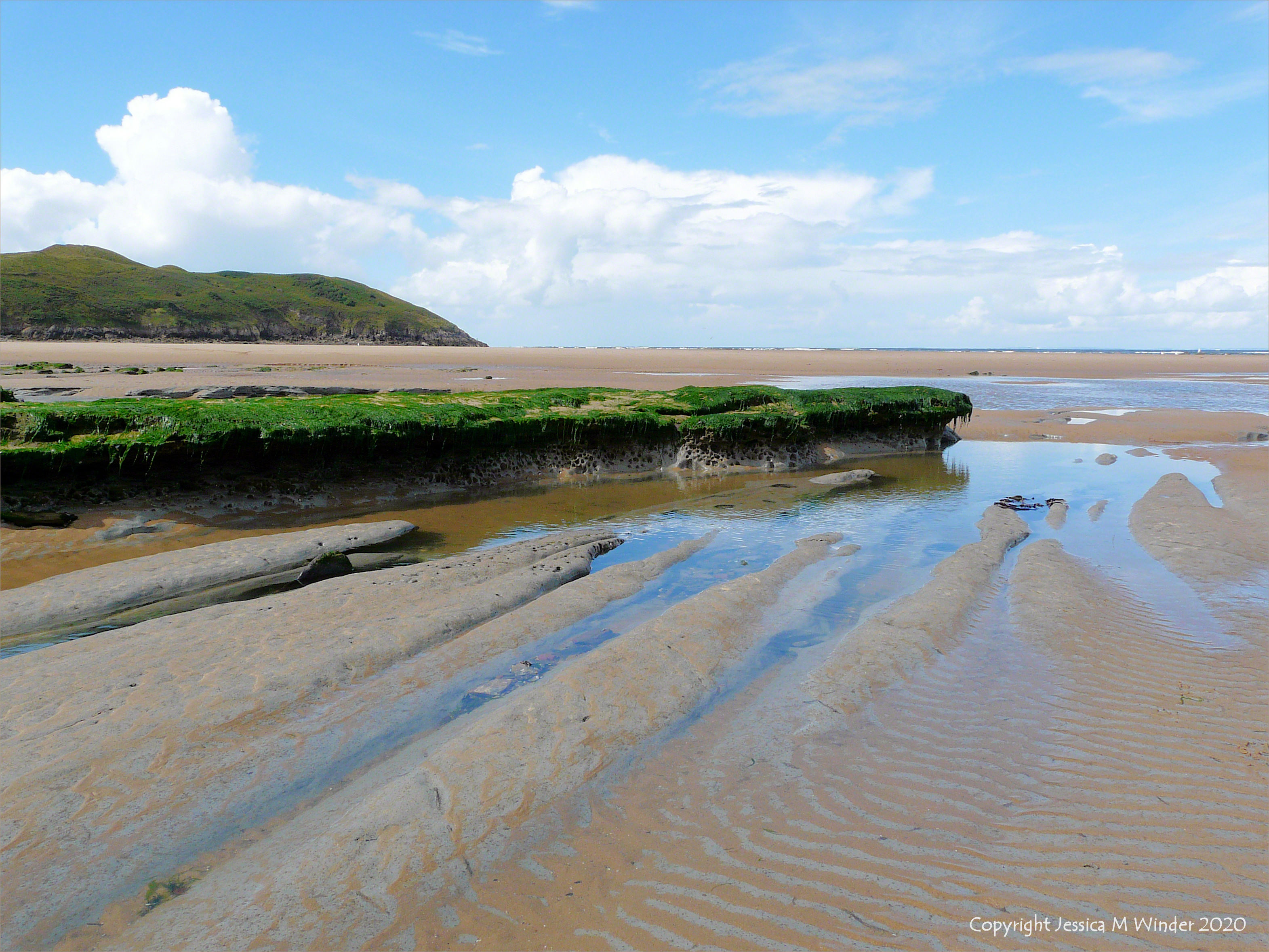 Holes in clay made by seashore creatures