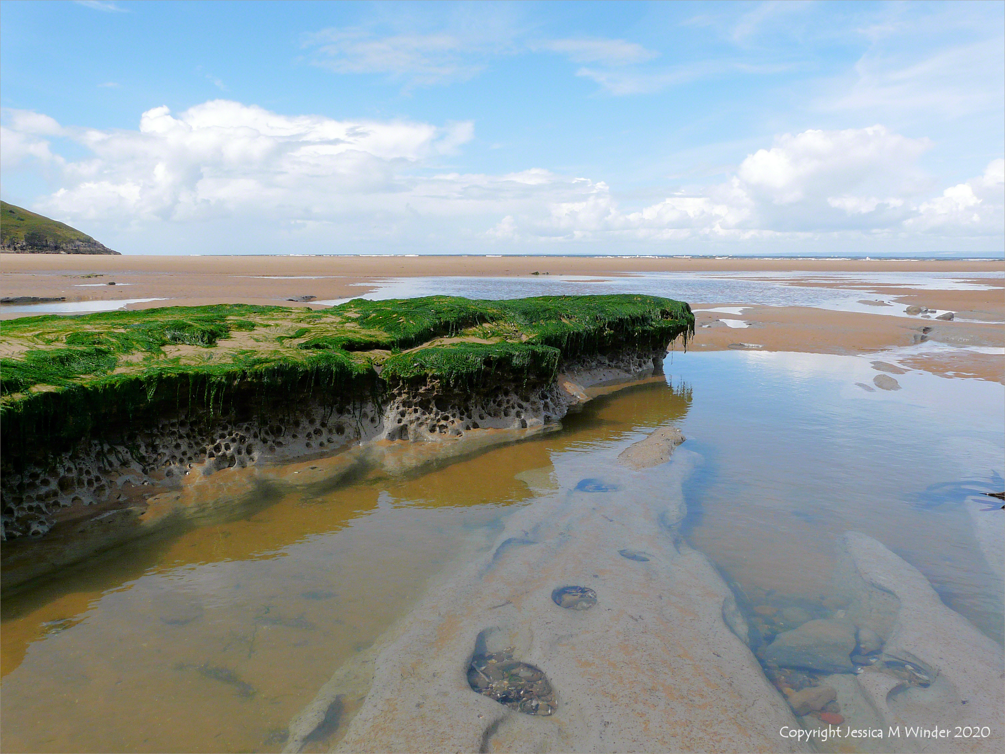 Holes in clay made by seashore creatures