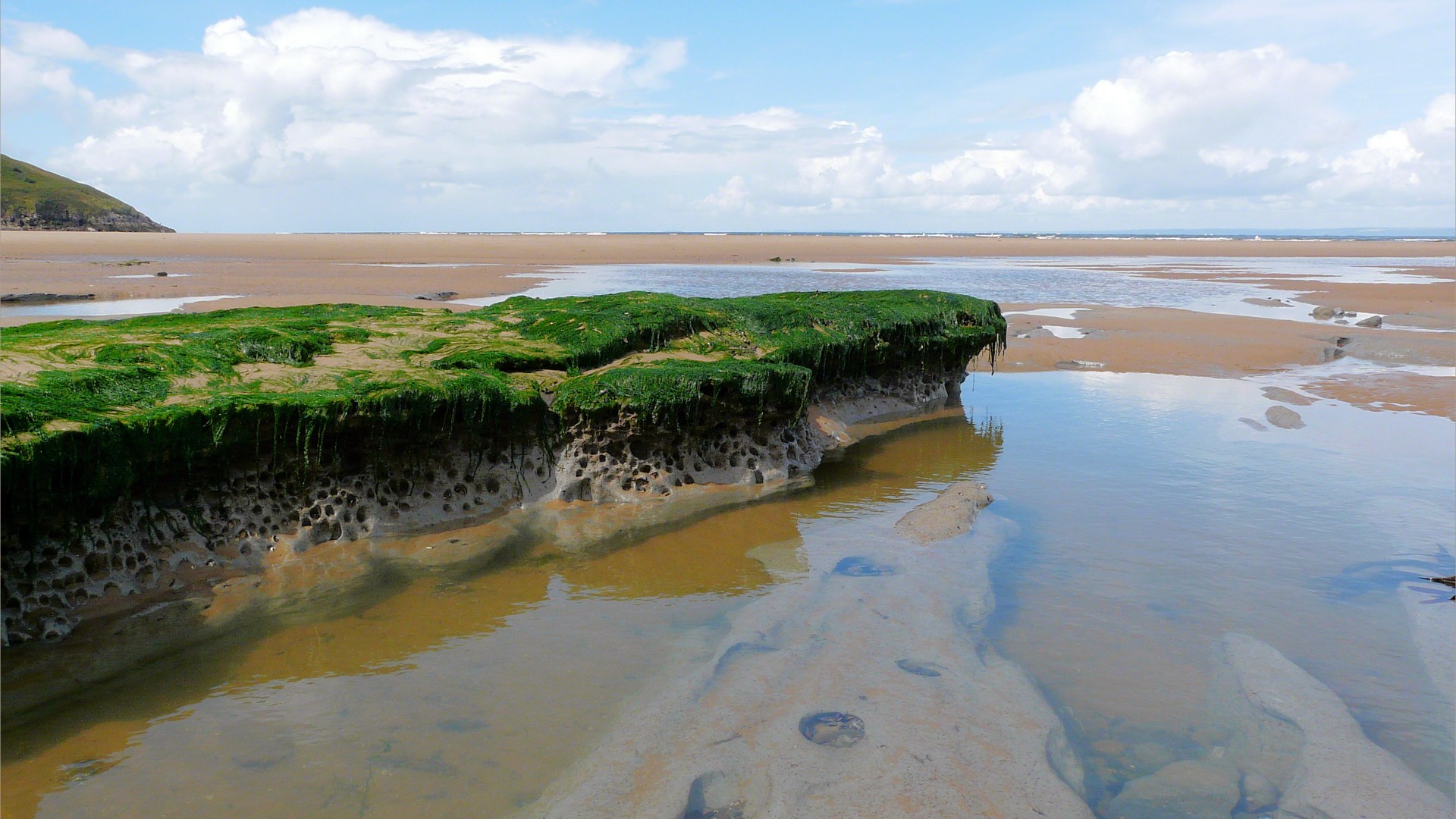 Holes in clay made by seashore creatures