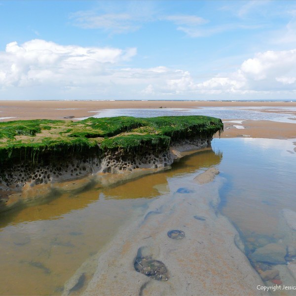 Holes in clay made by seashore creatures