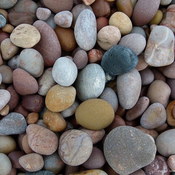 Pebbles on the beach at Budleigh Salterton