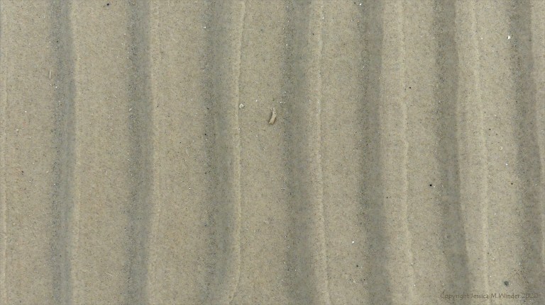 Natural patterns in the sand