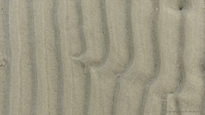 Natural patterns in the sand