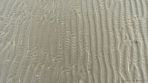 Natural patterns in the sand