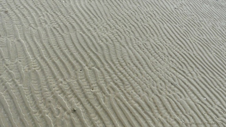 Natural patterns in the sand