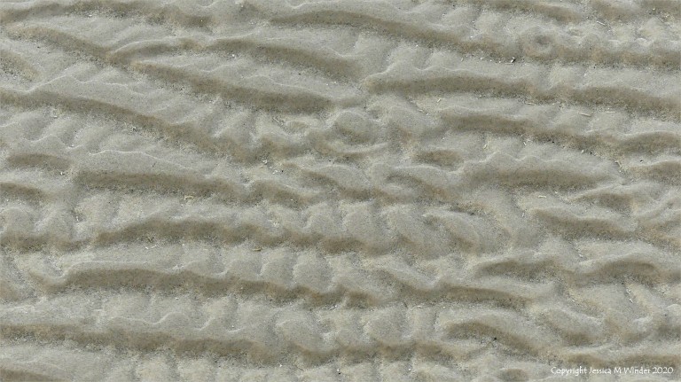 Natural patterns in the sand