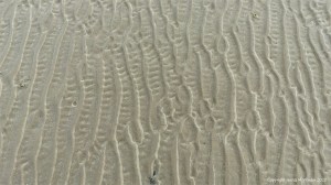 Natural patterns in the sand