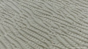 Natural patterns in the sand