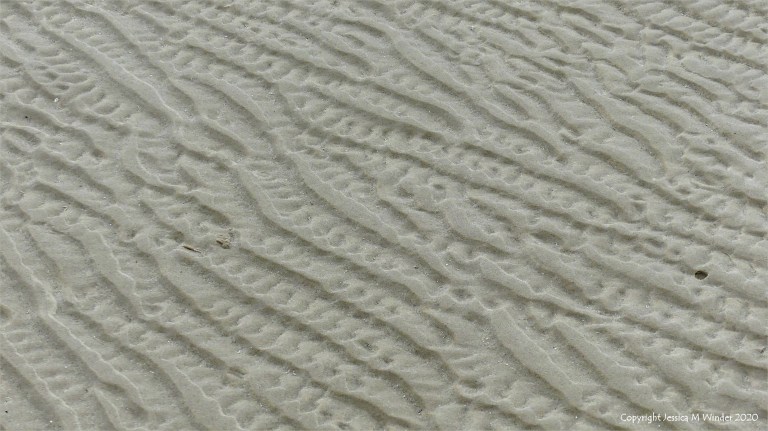 Natural patterns in the sand