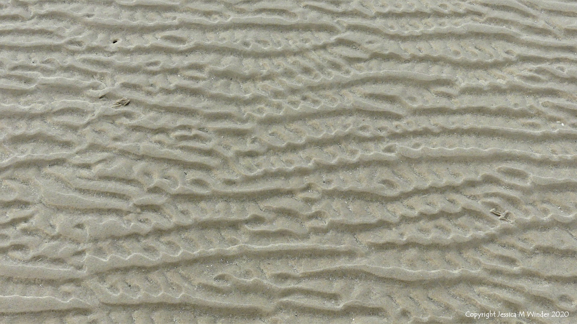Natural patterns in the sand
