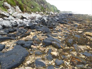 Lichen on seashore rocks